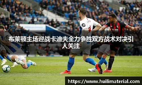 布莱顿主场迎战卡迪夫全力争胜双方战术对决引人关注