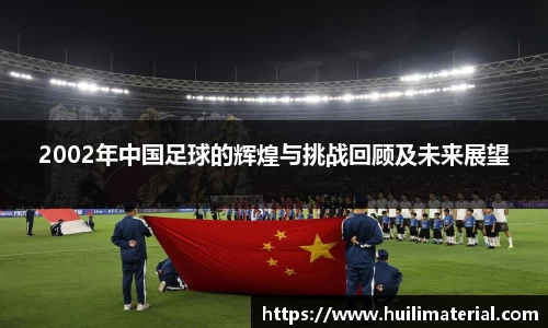 2002年中国足球的辉煌与挑战回顾及未来展望